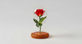 Red Rose in Glass Dome with Wooden Base & LED Lights